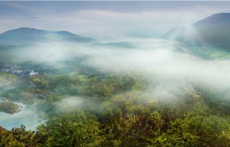 도홍경이 상청파를 창립